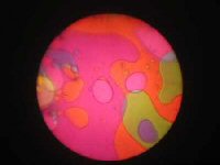 Oil wheel2