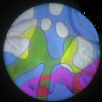 Oil wheel4